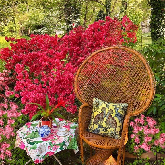 Meet your Posher, Amaris - Picture 1 of 1